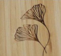Disegno 5 (Fiori)